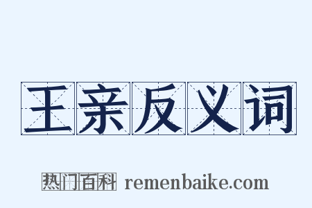 王亲反义词是什么意思的图片